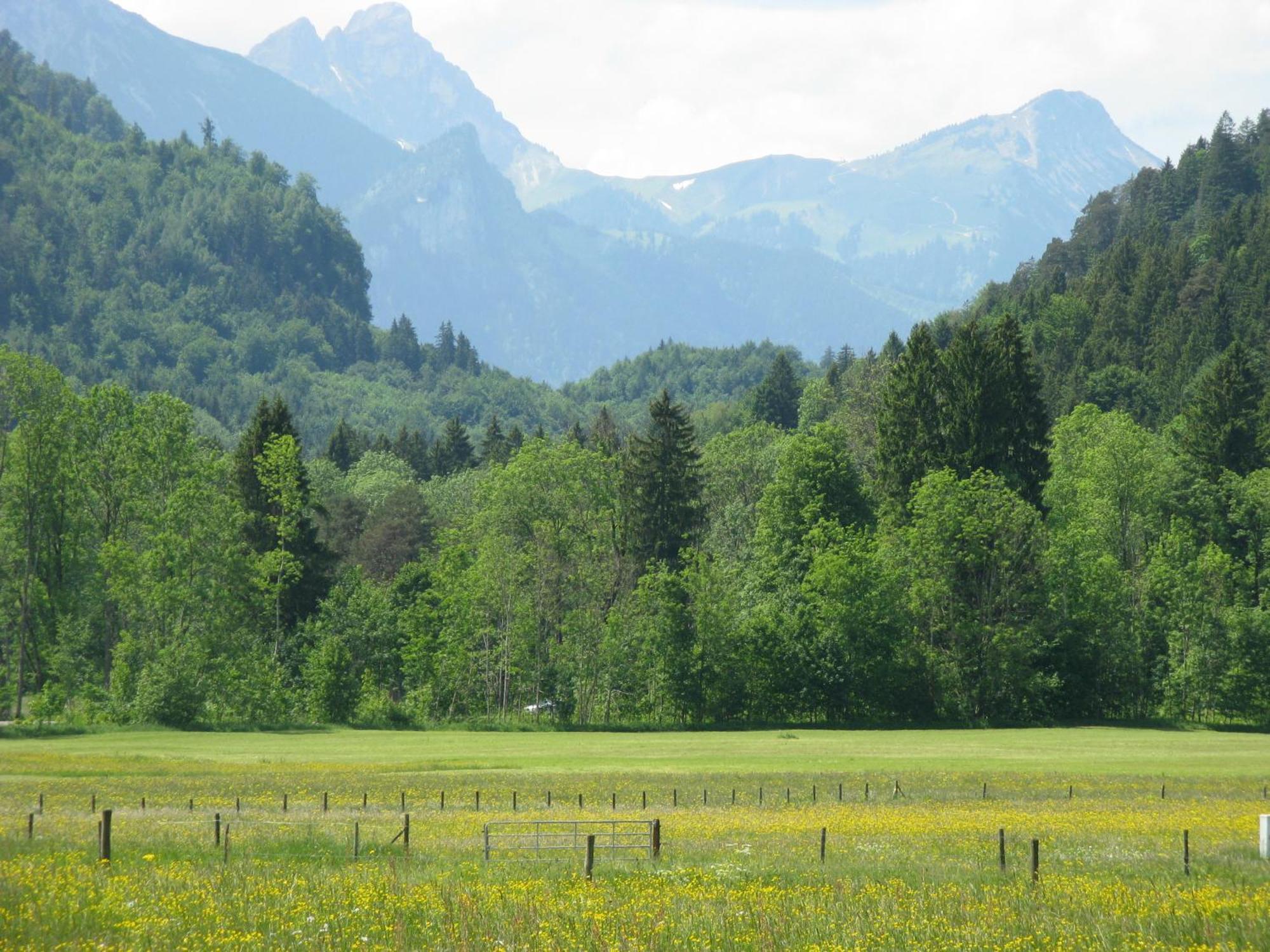 Alpenhotel Allgaeu Hohenschwangau Bagian luar foto